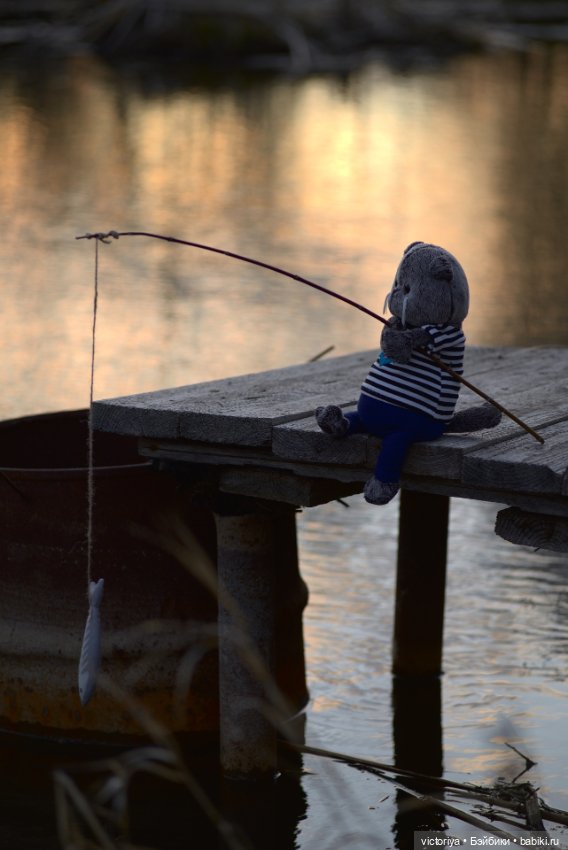 Кот-рыболов — Кот Басик (фото 8)