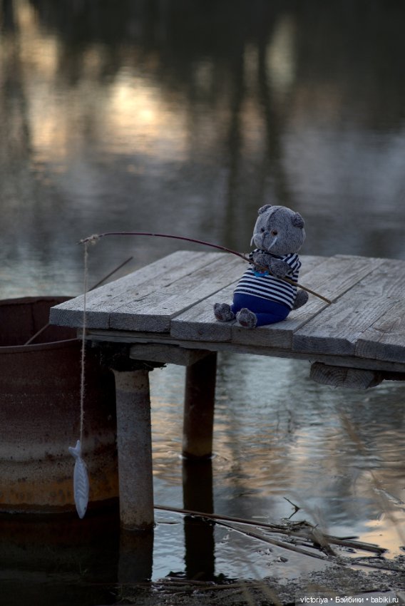 Кот-рыболов — Кот Басик (фото 6)