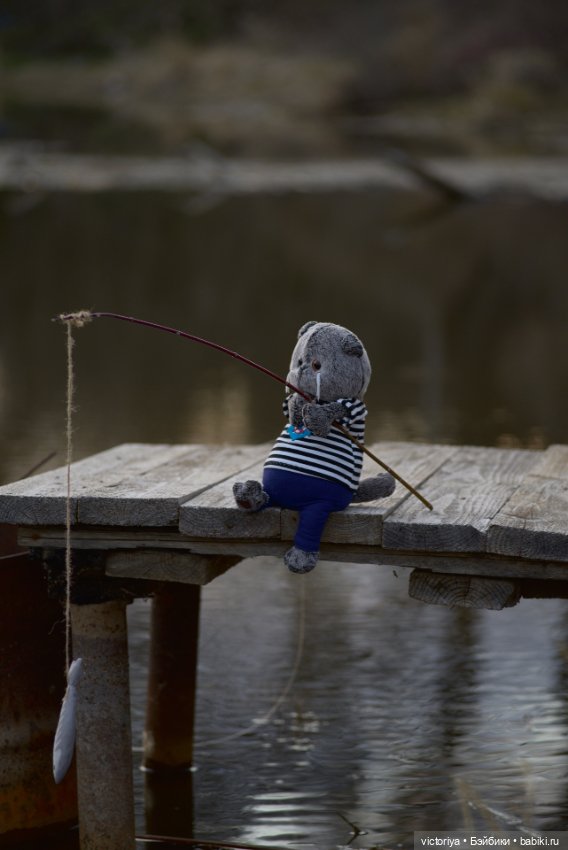 Кот-рыболов — Кот Басик (фото 5)