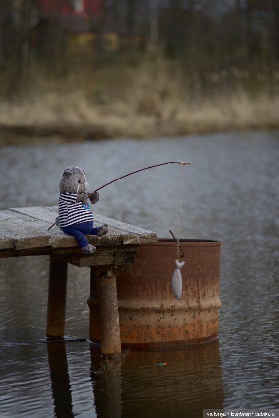 Кот-рыболов — Кот Басик (фото 2)