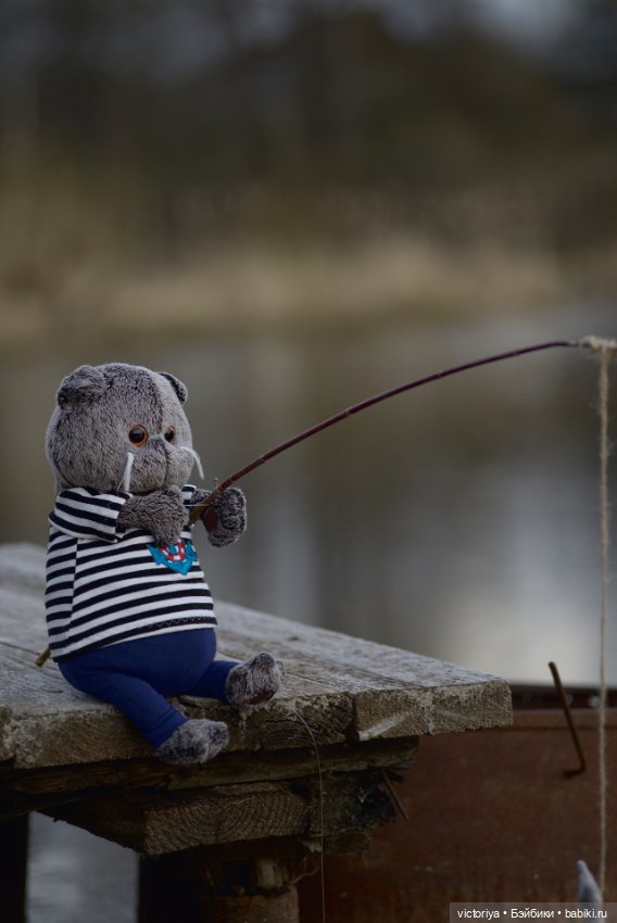 Кот-рыболов — Кот Басик (фото 4)