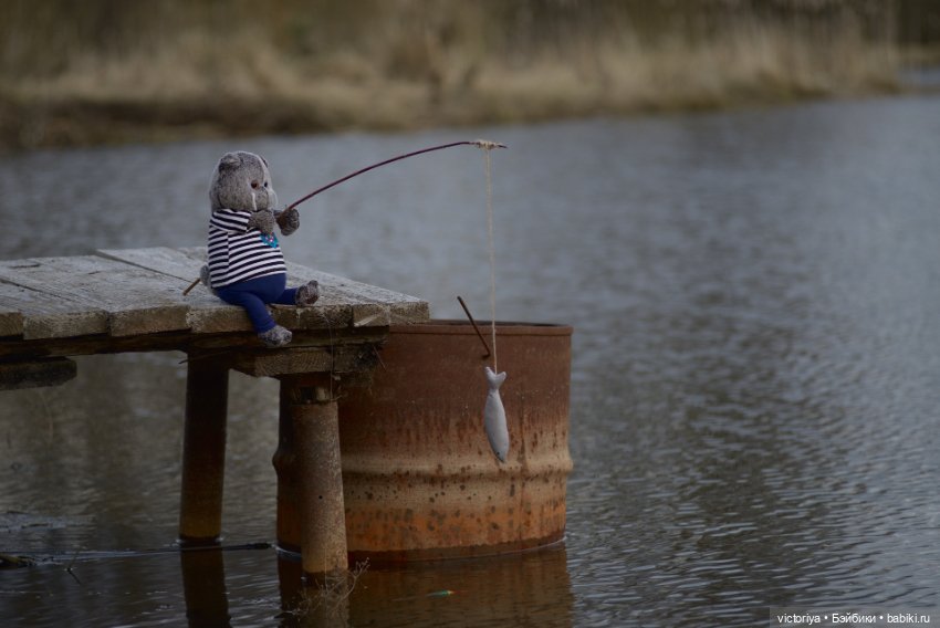 Кот-рыболов — Кот Басик (фото 3)