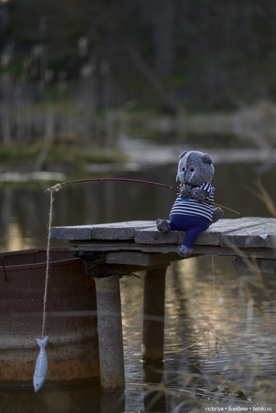 Кот-рыболов — Кот Басик (фото 7)
