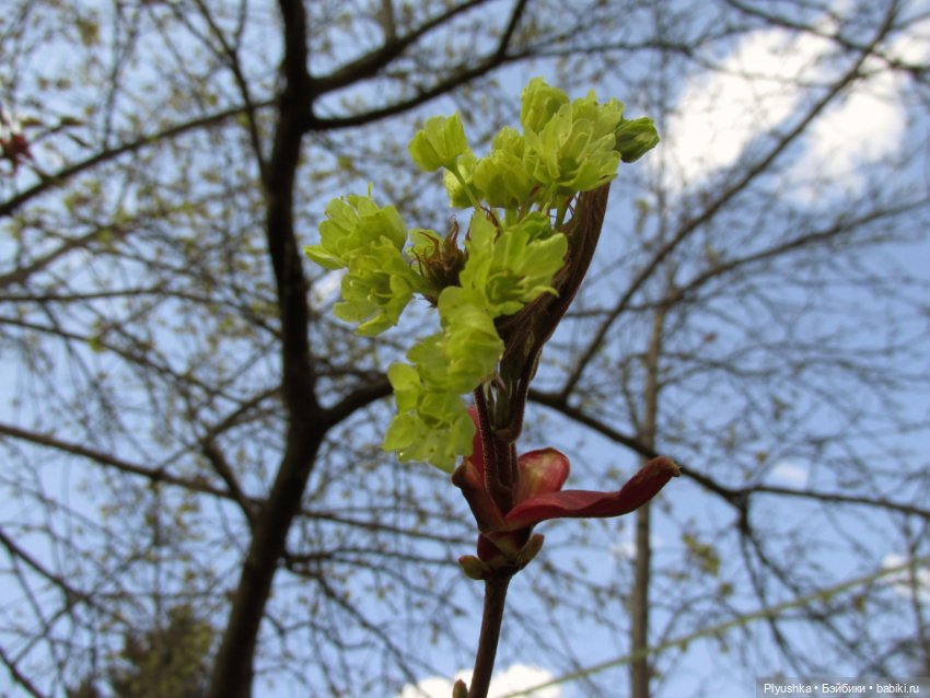 На даче — Портретные куклы знаменитостей: звезды кино