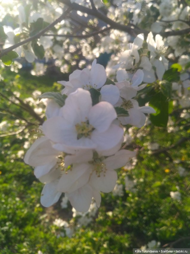 Как упаковать куклу — Болталка и разговоры обо всем: жизнь (фото 4)