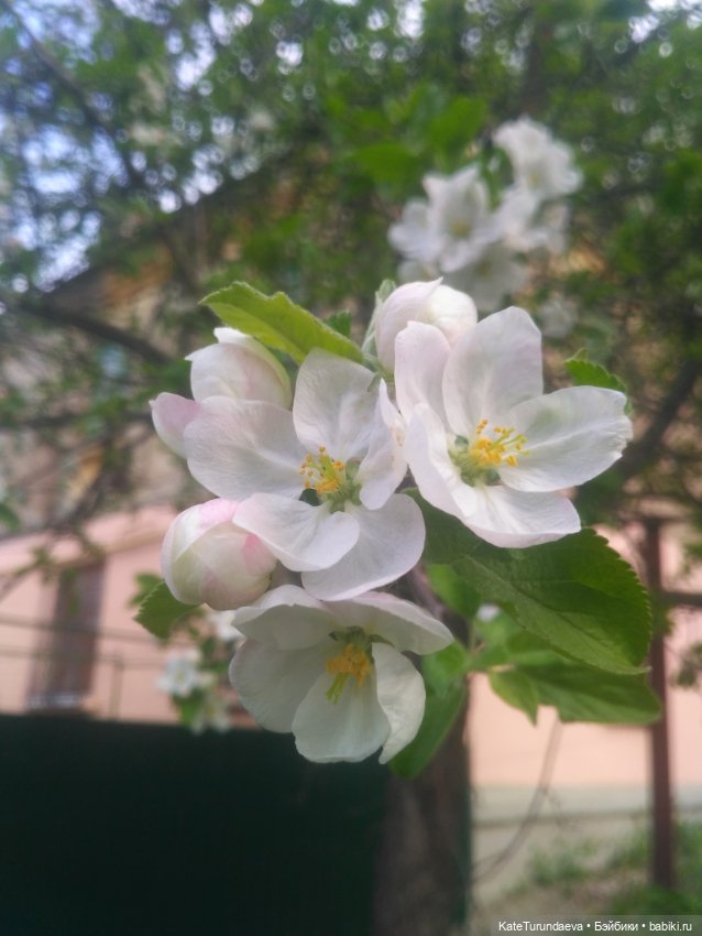 Как упаковать куклу — Болталка и разговоры обо всем: жизнь (фото 2)