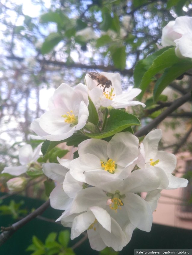 Как упаковать куклу — Болталка и разговоры обо всем: жизнь