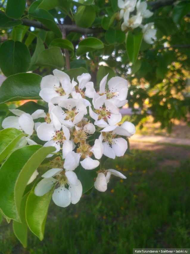 Как упаковать куклу — Болталка и разговоры обо всем: жизнь (фото 3)