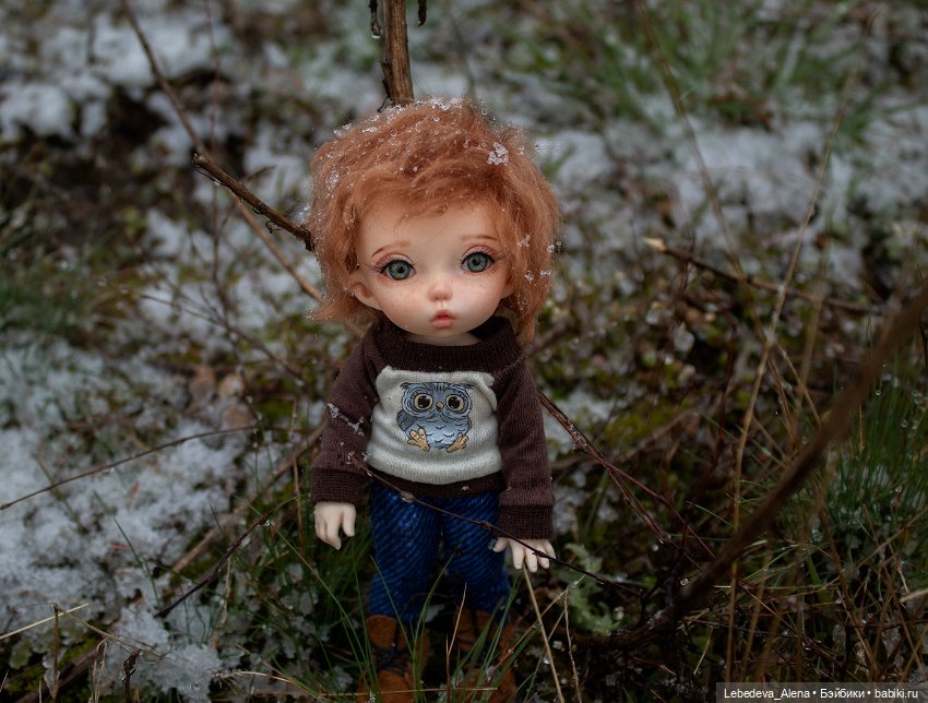 Мои любимые кадры — Коллекции кукол BJD (БЖД): фото витрин