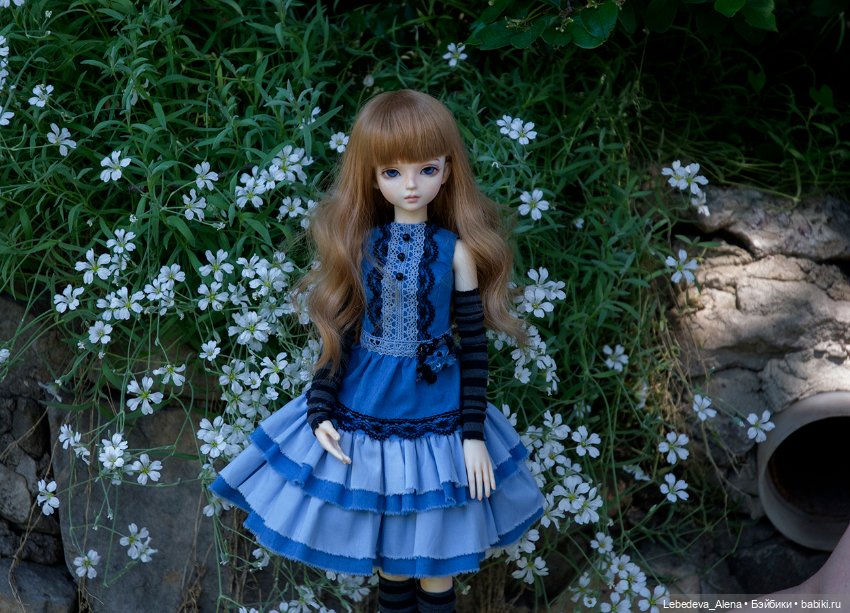 Мои любимые кадры — Коллекции кукол BJD (БЖД): фото витрин (фото 4)