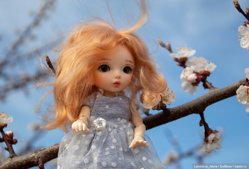 Мои любимые кадры — Коллекции кукол BJD (БЖД): фото витрин