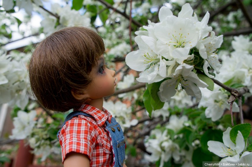 Рейс до весны — Куклы Fairyland (ФэйриЛэнд): BJD (БЖД)