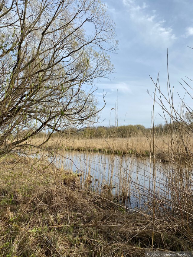 Первая прогулка Луны — Куклы Petitcollin (Петитколлин) и Sylvia Natterer: Minouche