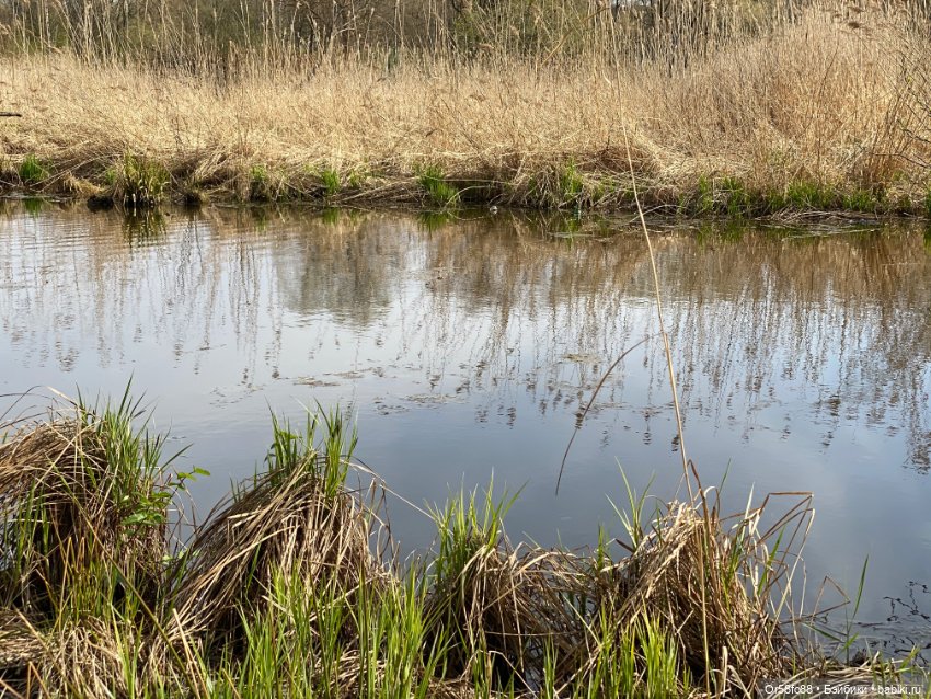Первая прогулка Луны — Куклы Petitcollin (Петитколлин) и Sylvia Natterer: Minouche (фото 9)