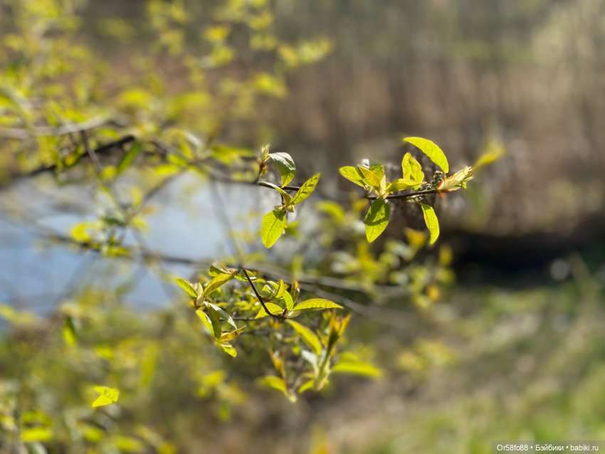 Первая прогулка Луны — Куклы Petitcollin (Петитколлин) и Sylvia Natterer: Minouche (фото 6)