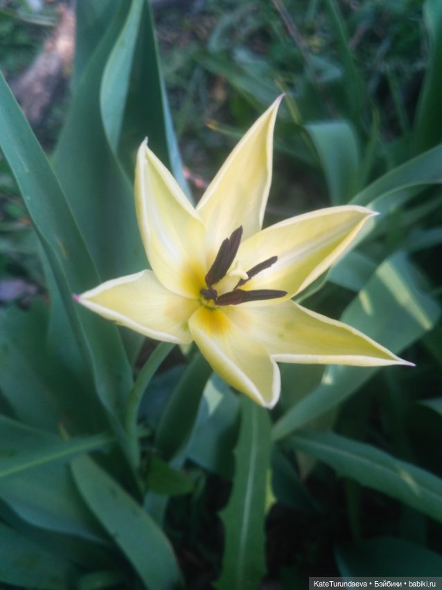 Как упаковать куклу — Болталка и разговоры обо всем: жизнь (фото 6)