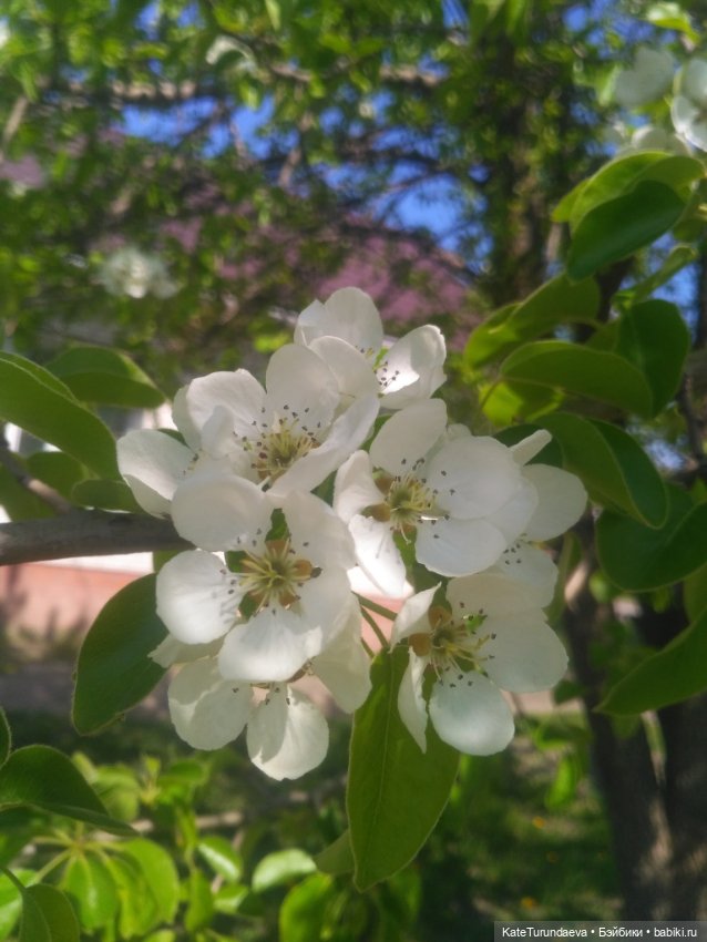 Как упаковать куклу — Болталка и разговоры обо всем: жизнь (фото 9)
