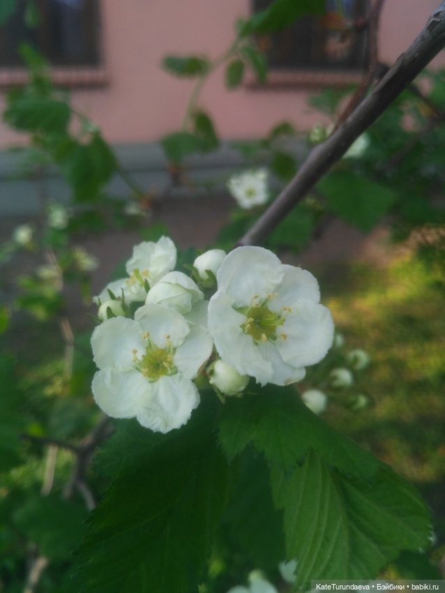Как упаковать куклу — Болталка и разговоры обо всем: жизнь (фото 8)