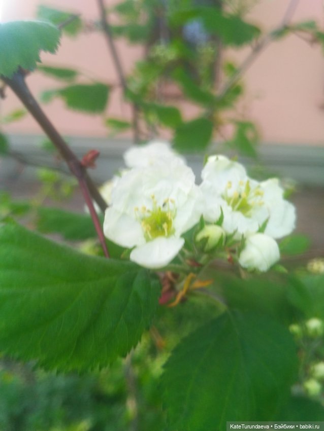 Как упаковать куклу — Болталка и разговоры обо всем: жизнь (фото 7)