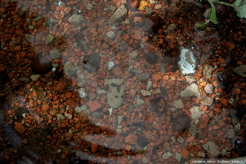 С Днем Победы — Болталка и разговоры обо всем: жизнь (фото 9)