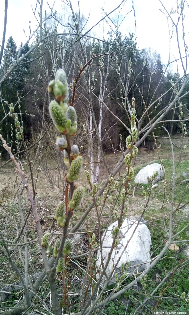 9 Мая — Болталка и разговоры обо всем: жизнь