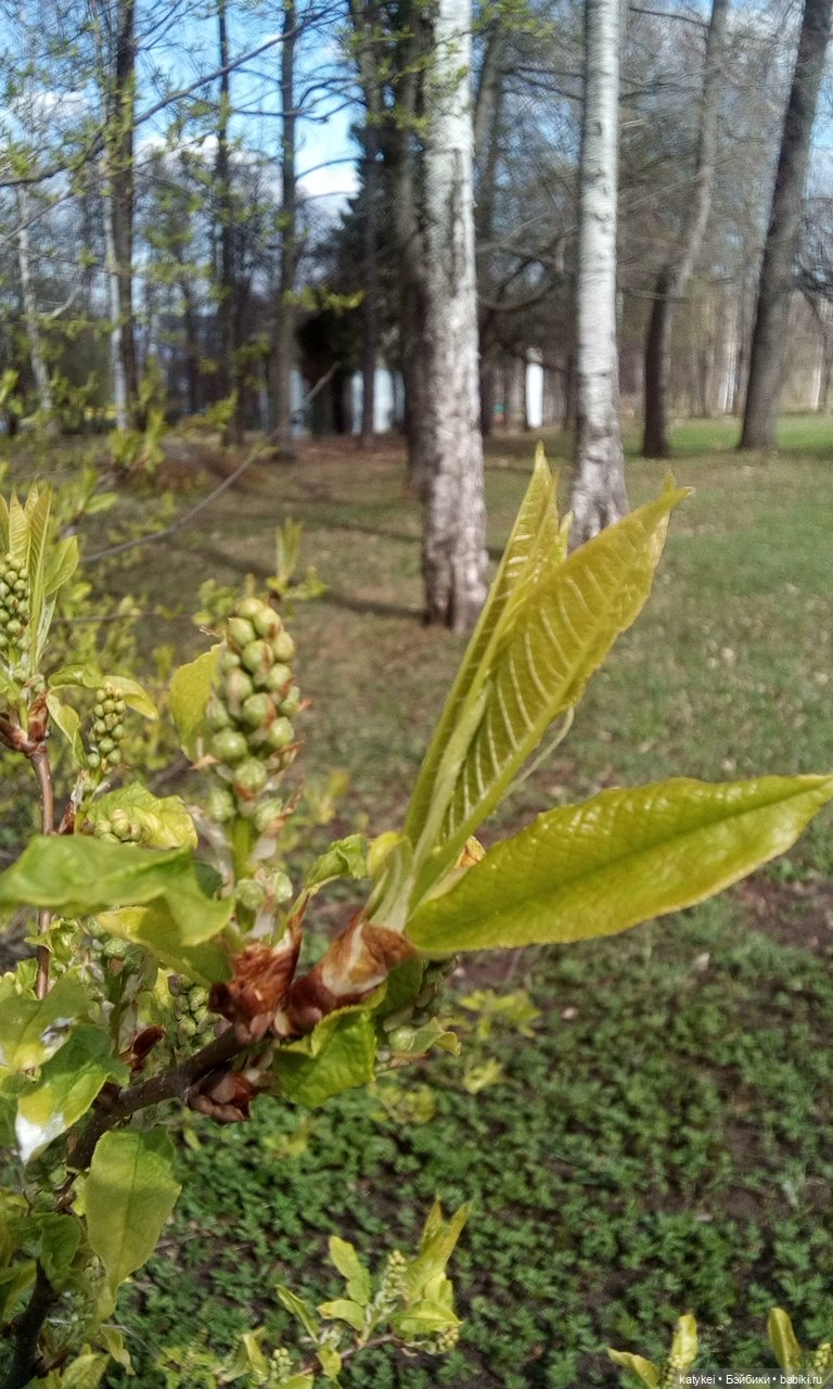 9 Мая — Болталка и разговоры обо всем: жизнь (фото 9)