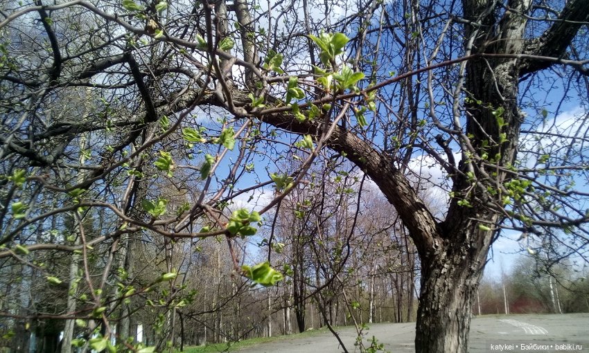 9 Мая — Болталка и разговоры обо всем: жизнь (фото 7)