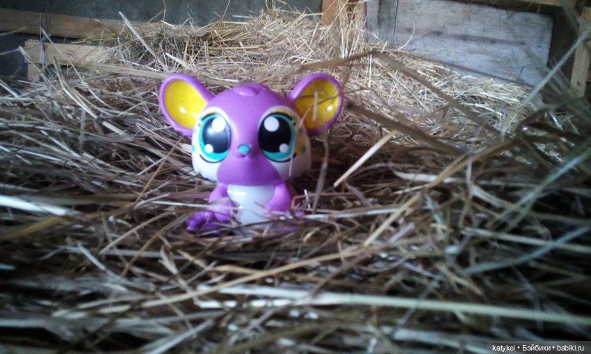 9 Мая — Болталка и разговоры обо всем: жизнь