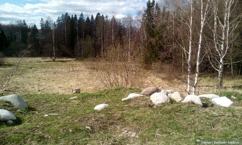 9 Мая — Болталка и разговоры обо всем: жизнь (фото 10)