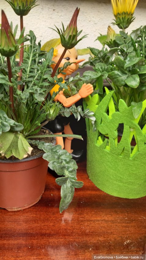 Буратино и чиполлино. Балконная история (фото 8)