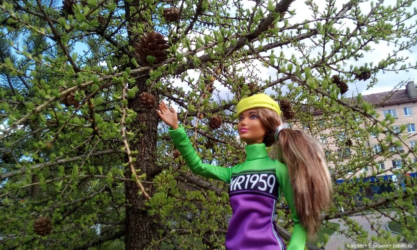 Новое Платье Королевы — Куклы Barbie (Барби): Looks (фото 10)