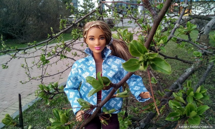 Новое Платье Королевы — Куклы Barbie (Барби): Looks