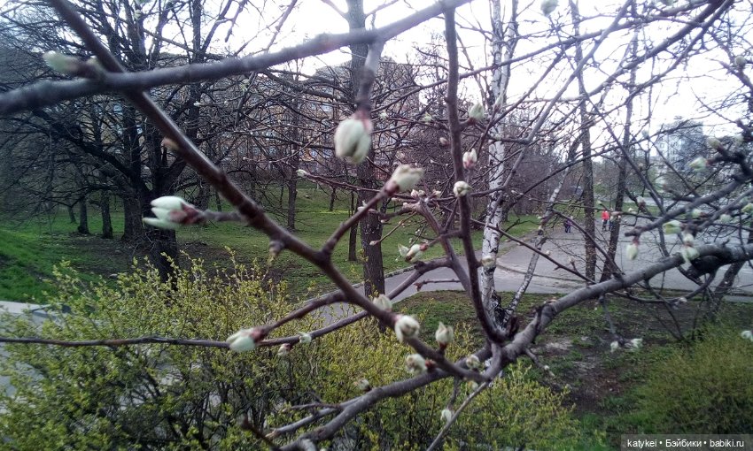 Новое Платье Королевы — Куклы Barbie (Барби): Looks