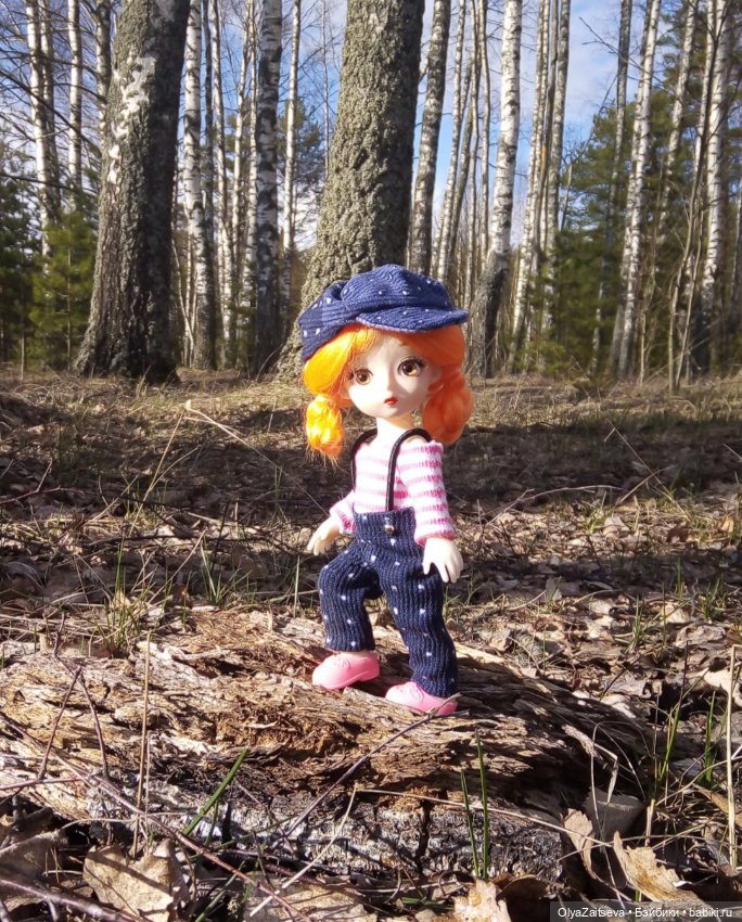 Карманный житель. Баболики (фото 3)