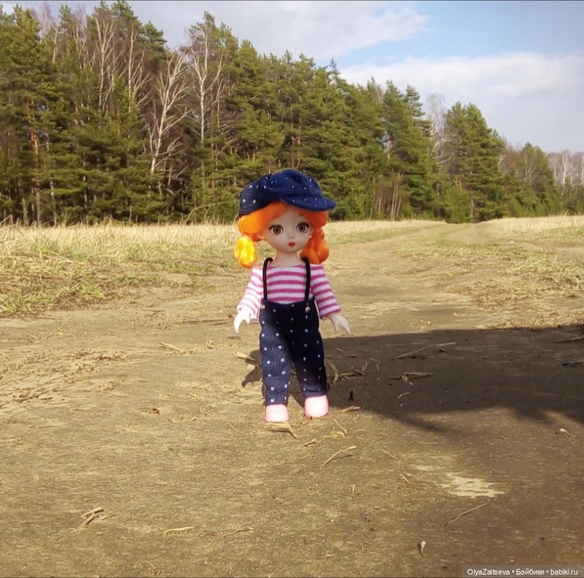 Карманный житель. Баболики (фото 2)