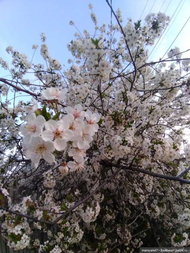 День медсестры — Болталка и разговоры обо всем: жизнь
