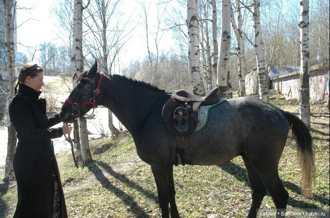 Поздравлялка Меня — Болталка и разговоры обо всем: жизнь (фото 3)