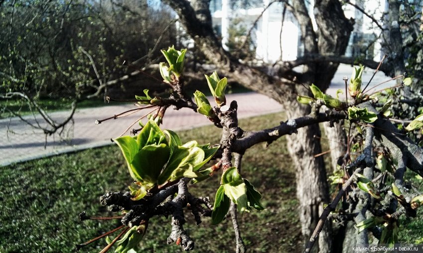 Поздравлялка Меня — Болталка и разговоры обо всем: жизнь (фото 9)