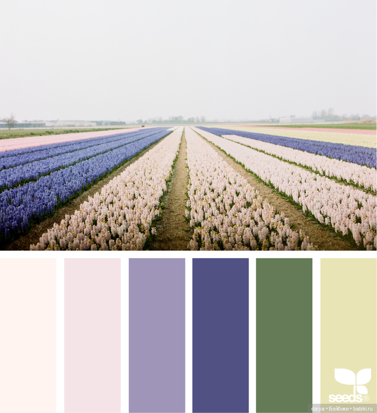 Красивое сочетание цветов (фото 6)