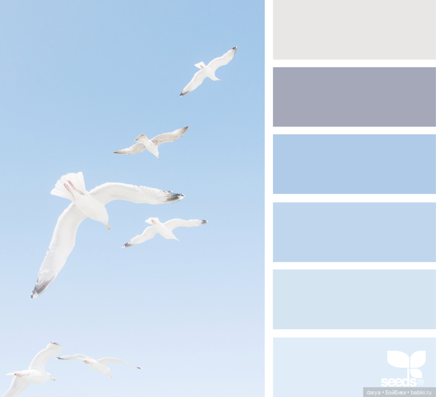 Красивое сочетание цветов (фото 7)