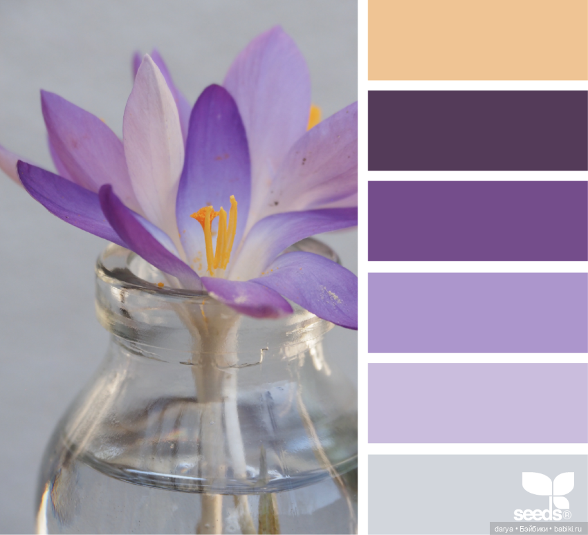 Красивое сочетание цветов (фото 2)