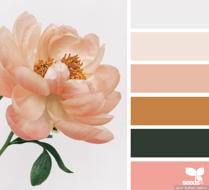 Красивое сочетание цветов (фото 5)