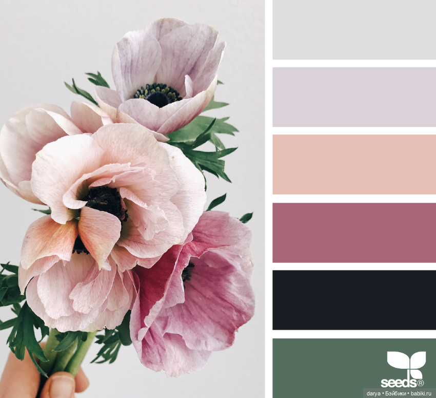 Красивое сочетание цветов (фото 8)