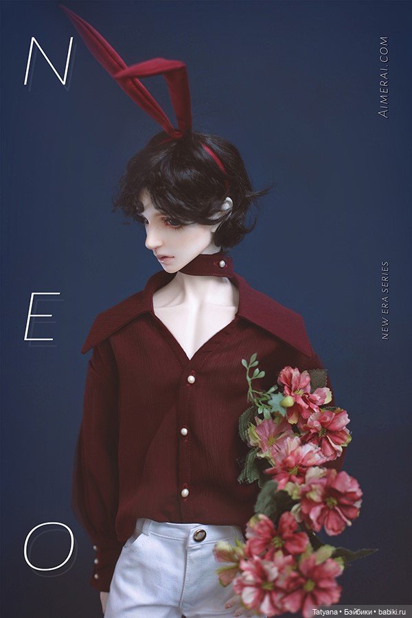 Aimerai - Neo — Разные куклы BJD (БЖД): редкие бренды