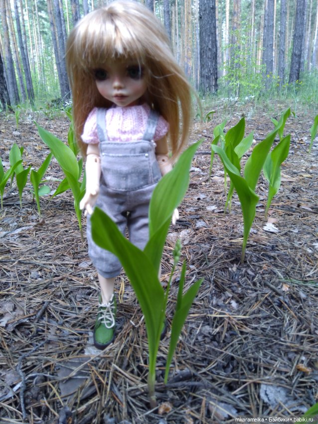 Как к нам приехала Эшли — Фотоистории с куклами BJD (БЖД): сериалы (фото 4)