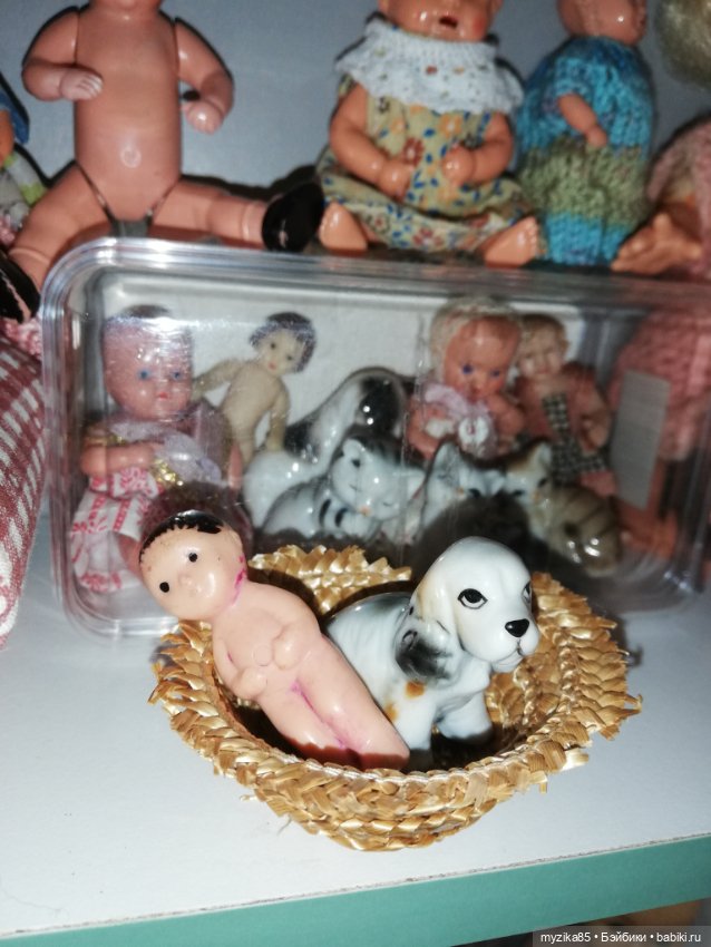 Малышонки в новой коробченке (фото 4)