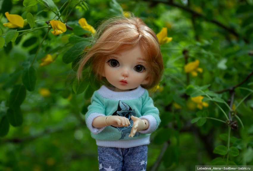 Эльфы тоже хотят гулять 2. Лилу (фото 3)