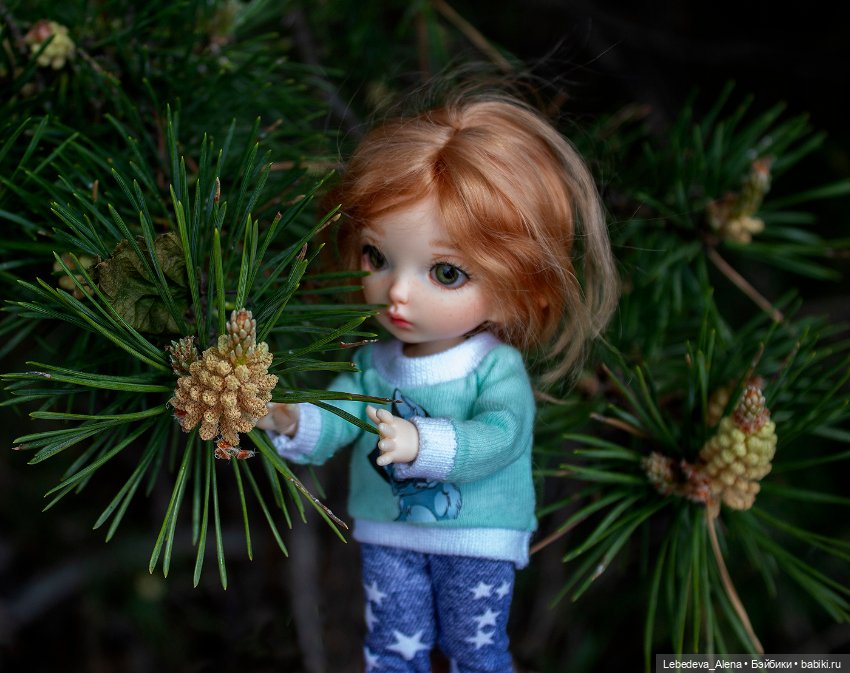 Эльфы тоже хотят гулять 2. Лилу (фото 6)