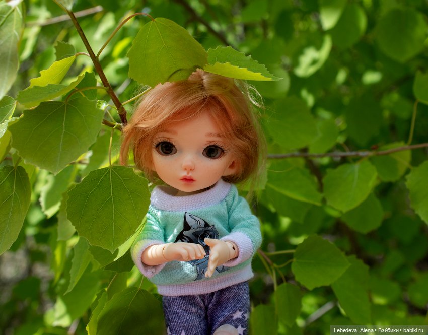 Эльфы тоже хотят гулять 2. Лилу (фото 4)