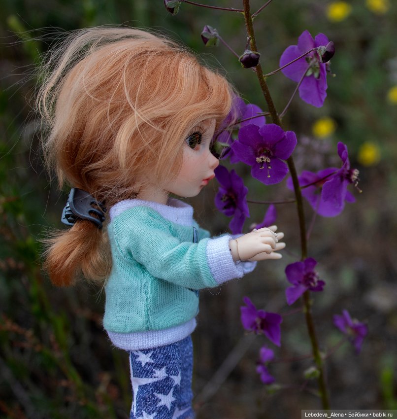 Эльфы тоже хотят гулять 2. Лилу (фото 7)